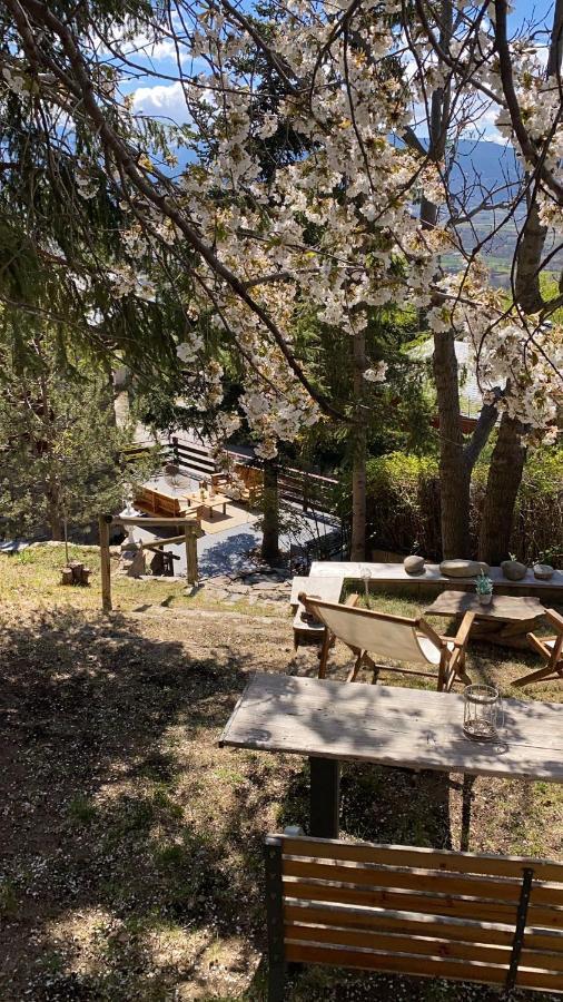 Pura Vida Villa Estavar Eksteriør bilde